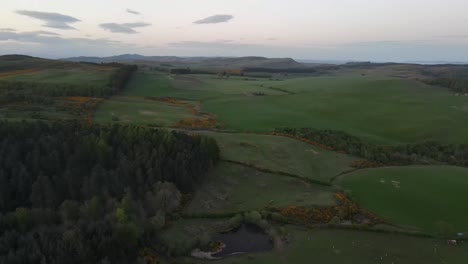 aerial perspective of a scottish sheep farm that encapsulates the beauty of the rural countryside, where agriculture and nature coexist in a seamless dance