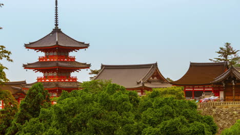 kiyomizu dera temple shrine pagoda at kyoto japan forest view timelapse moving zoom in