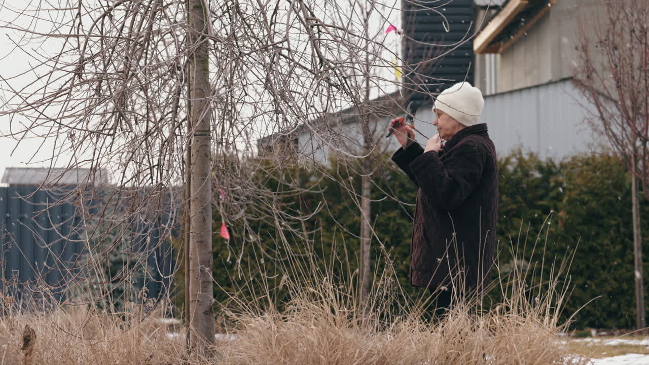 겨울 나무 를 관찰 하는 여자
