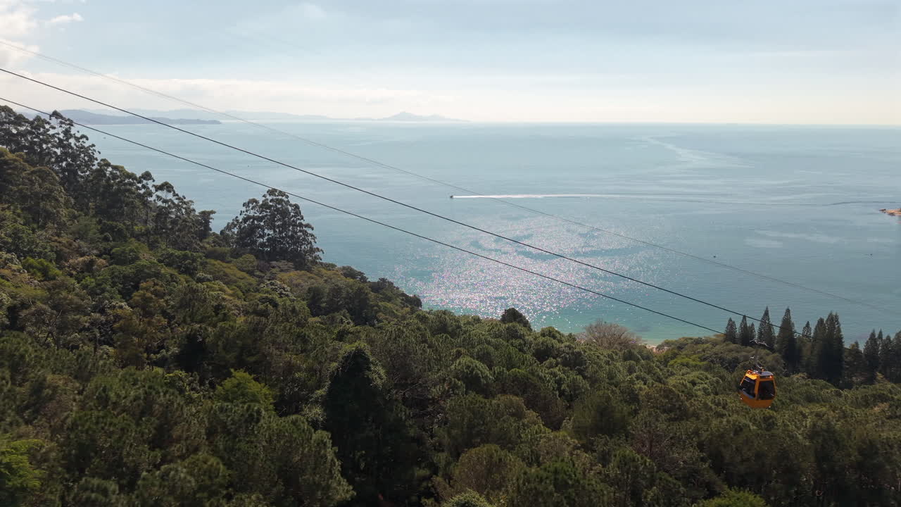 Two yellow cable cars glide swiftly above the lush Atlantic Forest of Balneário Camboriú, Santa Catarina, Brazil, heading toward the sparkling Gulf of Balneário Camboriú on a bright day