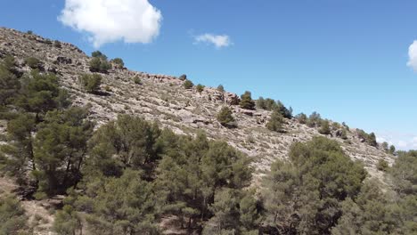 Imagen-Aérea-De-Una-Montaña-Con-Pocos-Pinos