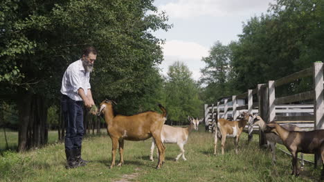 farmer with goats outdoors