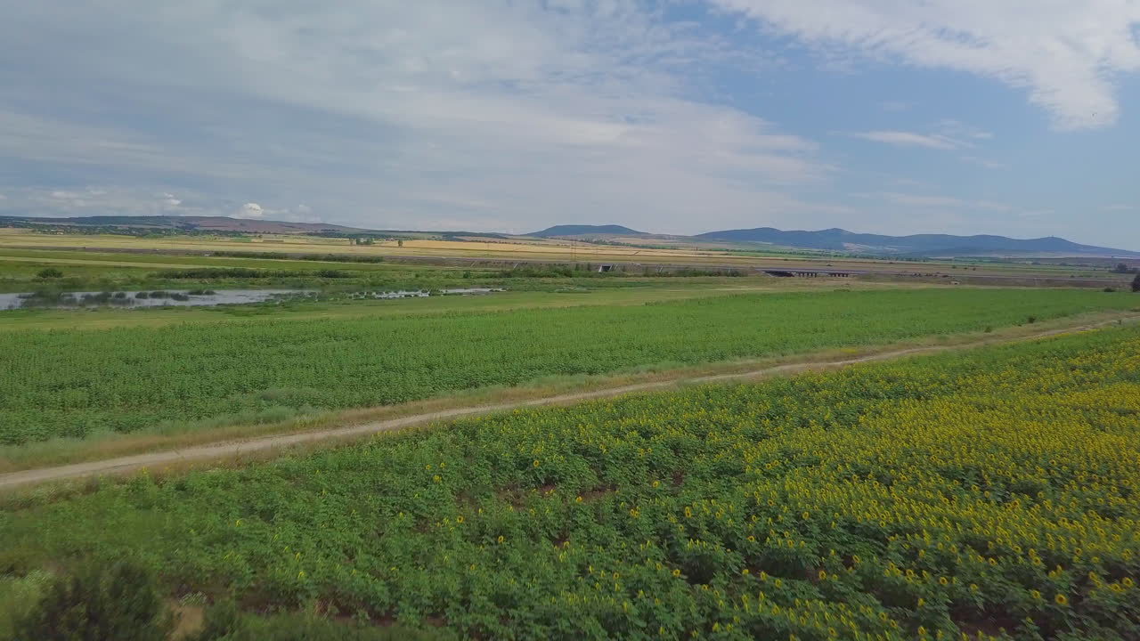 Drone shot over agriculture field and green field to the motorway