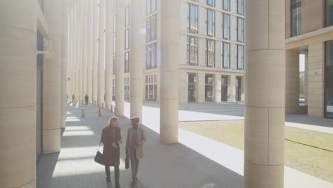 Diverse-Male-Colleagues-Walking-in-Downtown-and-Speaking