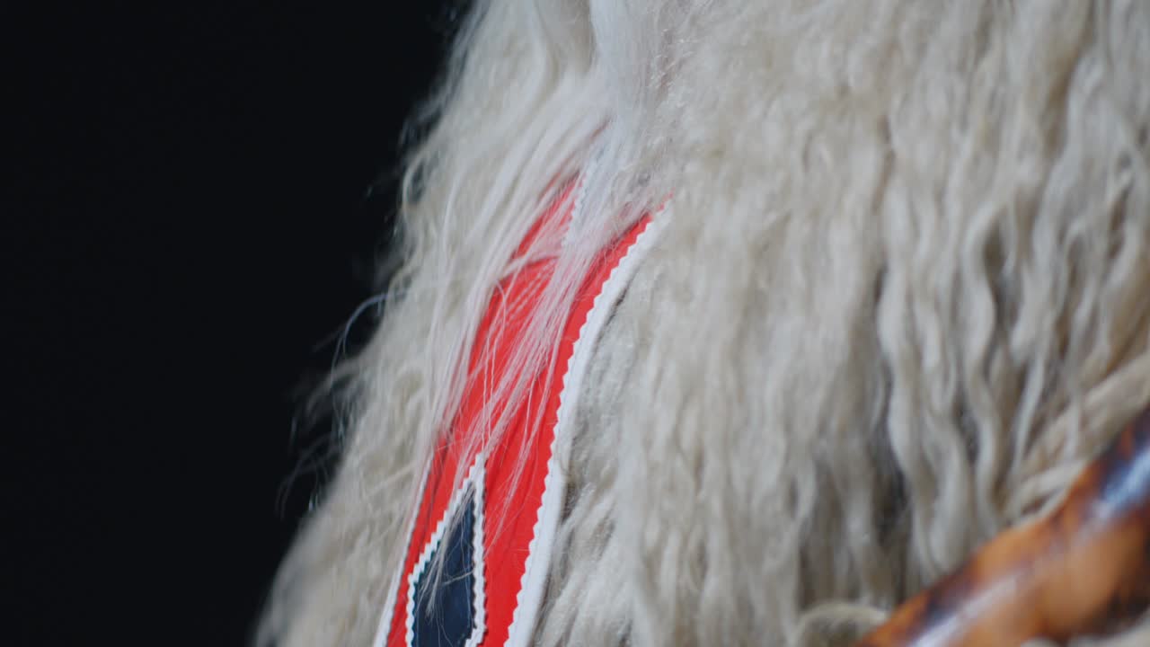 Close up of traditional Kurent costume detail during Pust carnival festival in Slovenia
