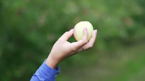 fresh juicy ripe apple in a female hand in the garden
