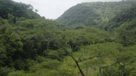 Foto-Panorámica-Del-Paisaje-Balneario-Mata-De-Maiz-En-República-Dominicana