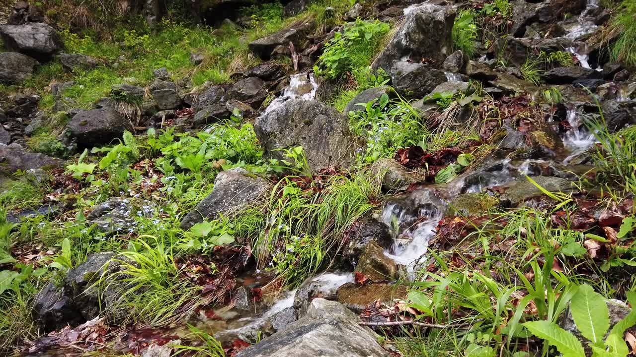 산에서 폭포 숲에 부러진 나무에 떨어지는
