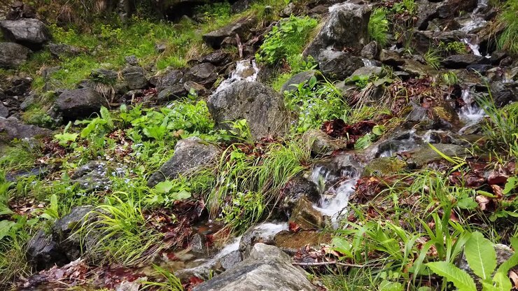 Waterfall in mountains forest falling to the broken tree