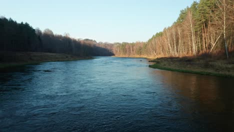 aerial: bubbling river with forest trees lit with sunset light