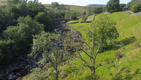 drone footage in rural yorkshire, uk in summer, flying close over a tree and slowly into a shallow river valley over the river and river bed, stopping at a railway bridge with hills in the distance