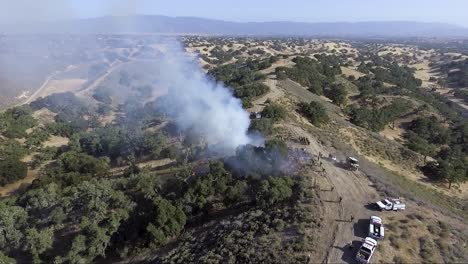 las llamas de los incendios forestales se esconden detrás de los robles