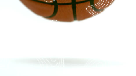 animation of white contour lines moving over basketball bouncing on white background