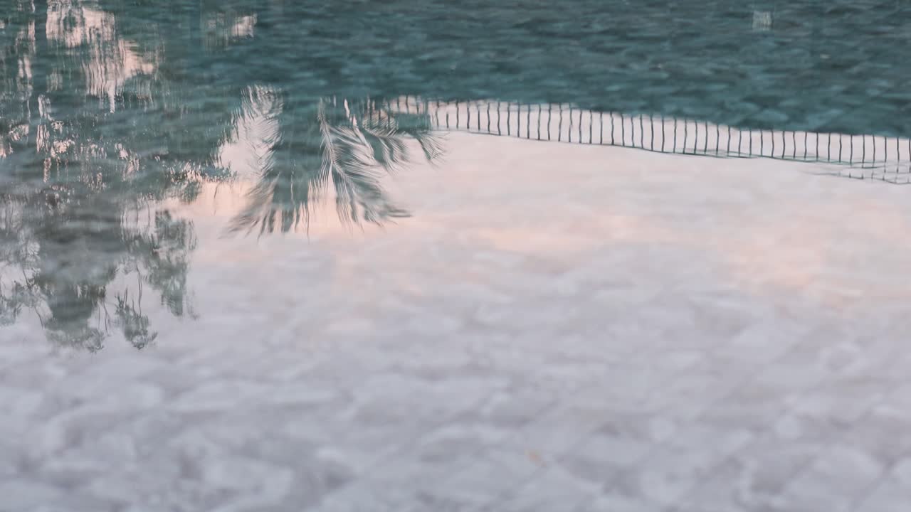 나무의 그림자를 반사하는 평온한 물 표면