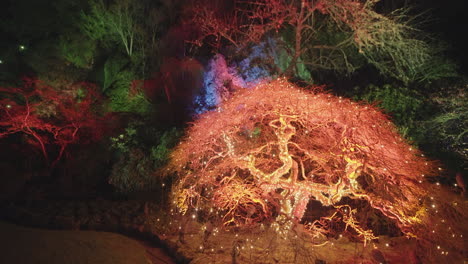 árboles en el jardín decorados e iluminados por luces de colores