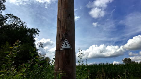 high voltage sign board mounted on tree bark during daytime with cumulus clouds at background