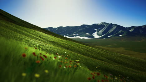 lush green hillside with colorful flowers and majestic mountains in background