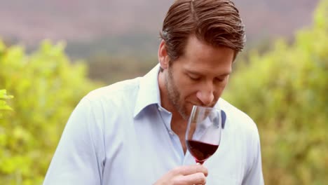 Young-winegrower-looking-and-smelling-wine