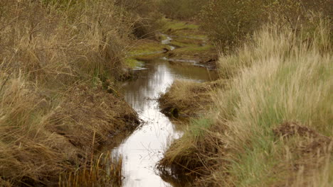 Mid-shot-of-sandy-tidal-inlet-stream-with-vegetation-on-both-sides,-on-at-mud-flats-Saltfleet,-Louth,-Lincolnshire