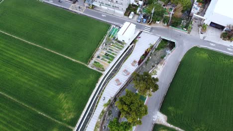 a road nestled between vibrant green fields, daylight, aerial view