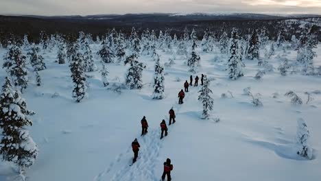 drone view of snowshoe walking in saariselka, lapland, finland