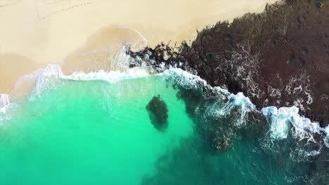 Exotic-green-ocean-waves-gently-wash-over-white-sand-beach,-Aerial-Top-Down