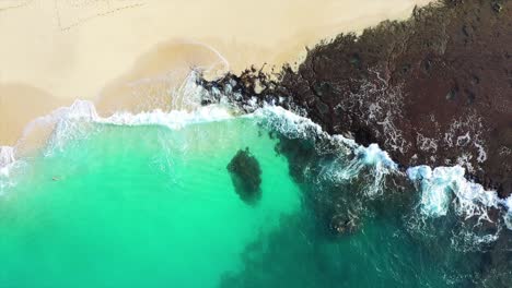 exotic green ocean waves gently wash over white sand beach, aerial top down