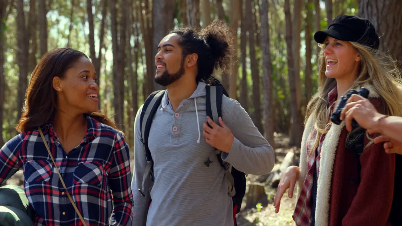 grupo de amigos acampando en el bosque 4k