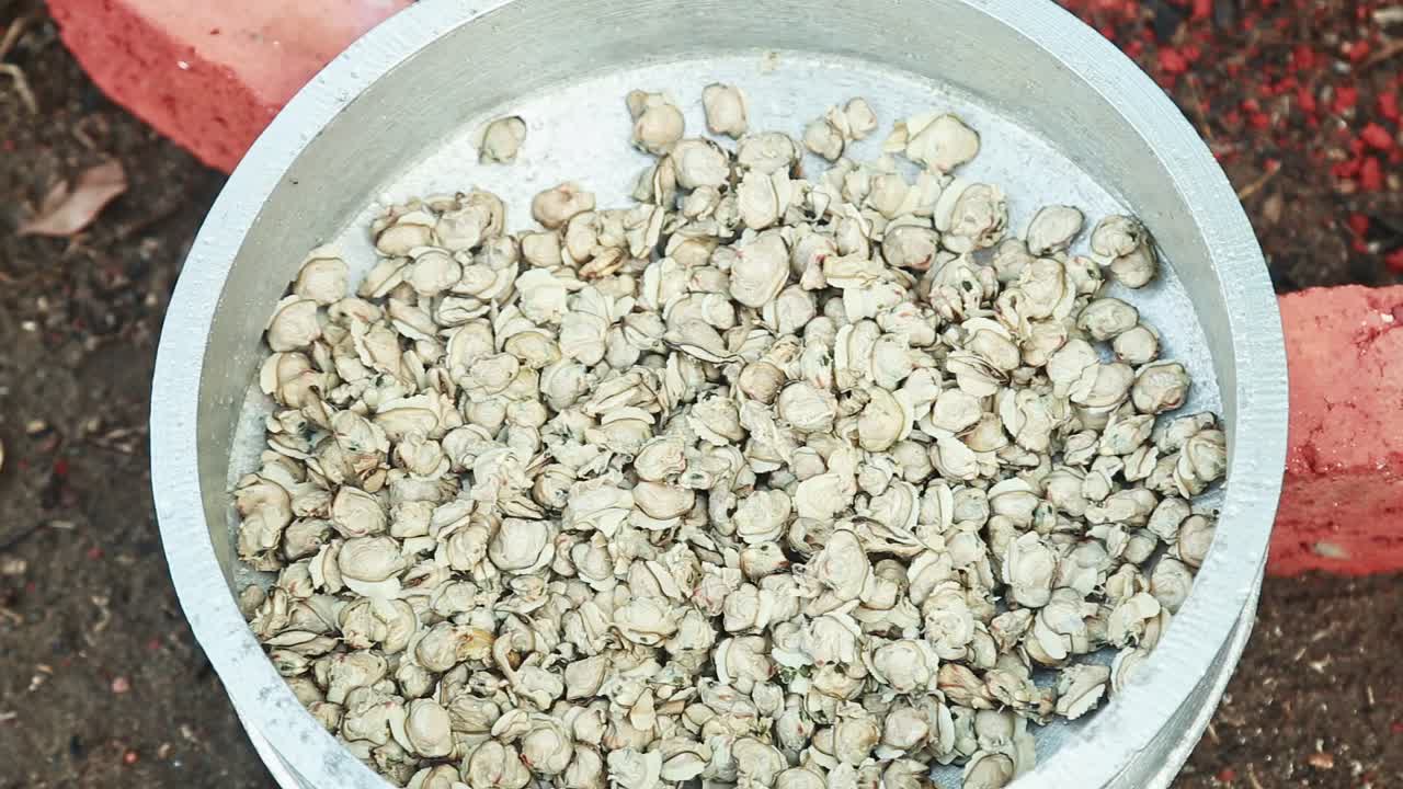 carne de almeja negra , la olla se llena para cocinar , cocina tradicional al aire libre , cocina en el horno apilando los ladrillos