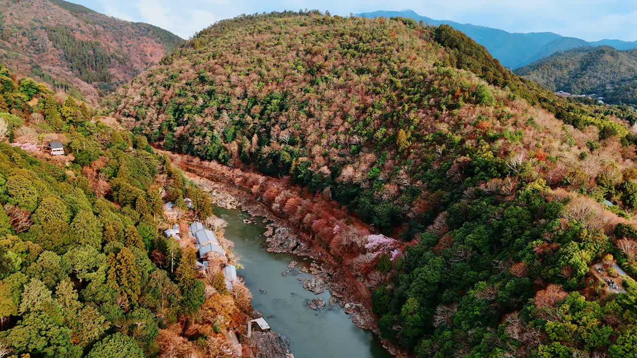 Stunning scenery of beautiful mountains covered with forests and narrow river flowing at the foot. Beautiful nature of Kyoto, Japan. Aerial view.