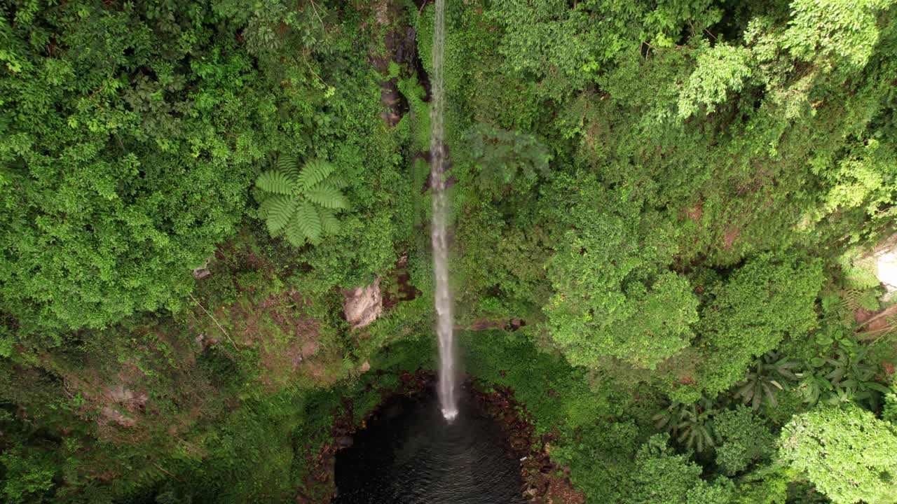 Aerial View of Waterfall in Lush Forest
