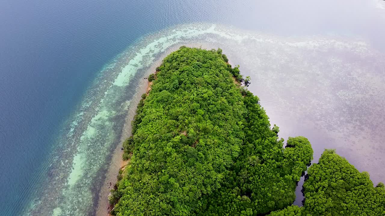 vista aérea de las aves de la península de bosque de manglares con ecosistema de arrecifes de coral, agua cristalina del océano en la bahía de coron, palawan, filipinas