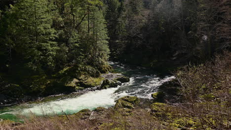 elk river flowing through woods near port orford, oregon