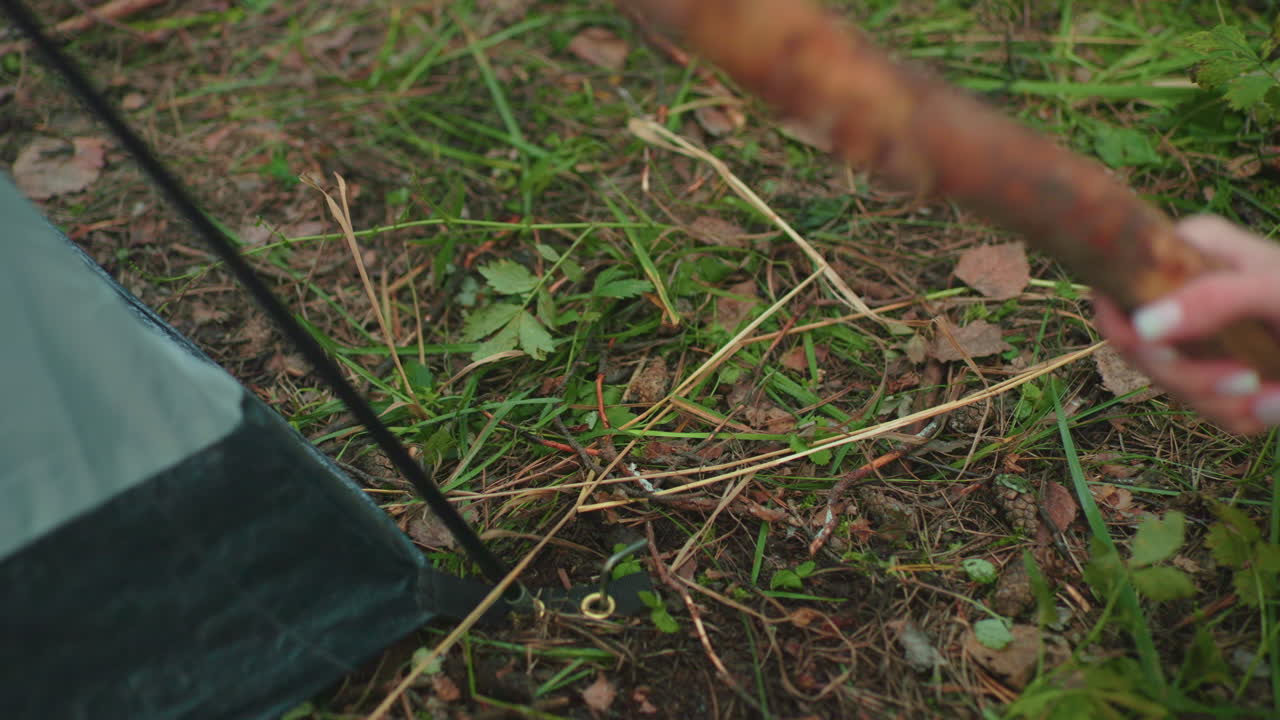 Close up of person hand using wooden stick to hammer tent peg into grassy forest ground during camping setup, with tent edge and natural foliage visible in calm woodland environment