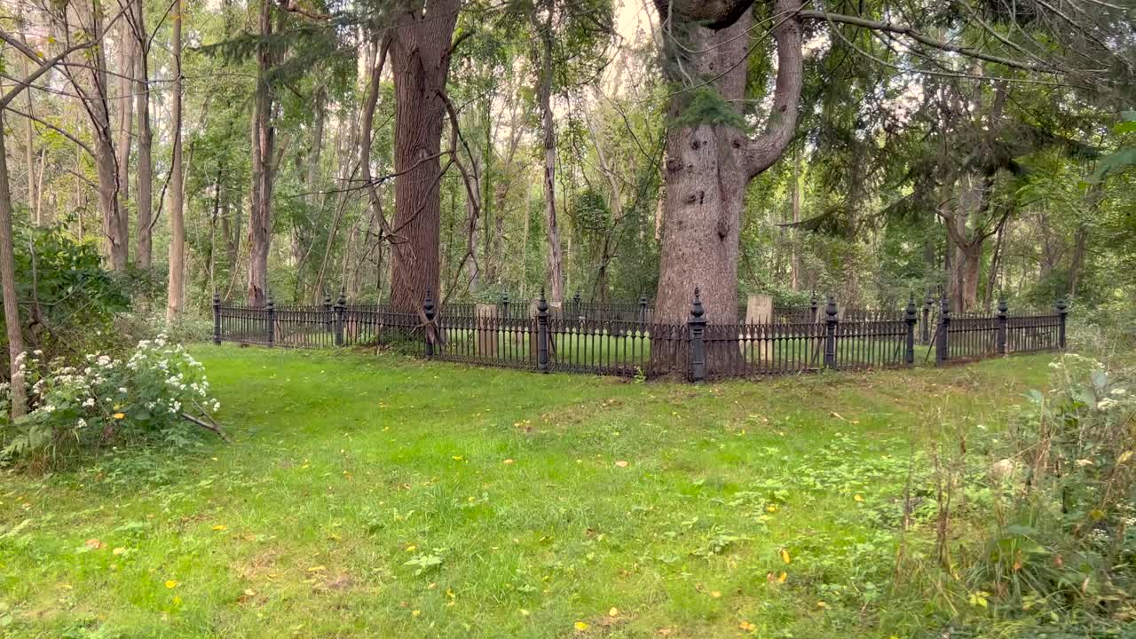 идущий к небольшому последнему месту отдыха лемуэля дурфи старшего и его семьи в 1800 году в ранней пальмире