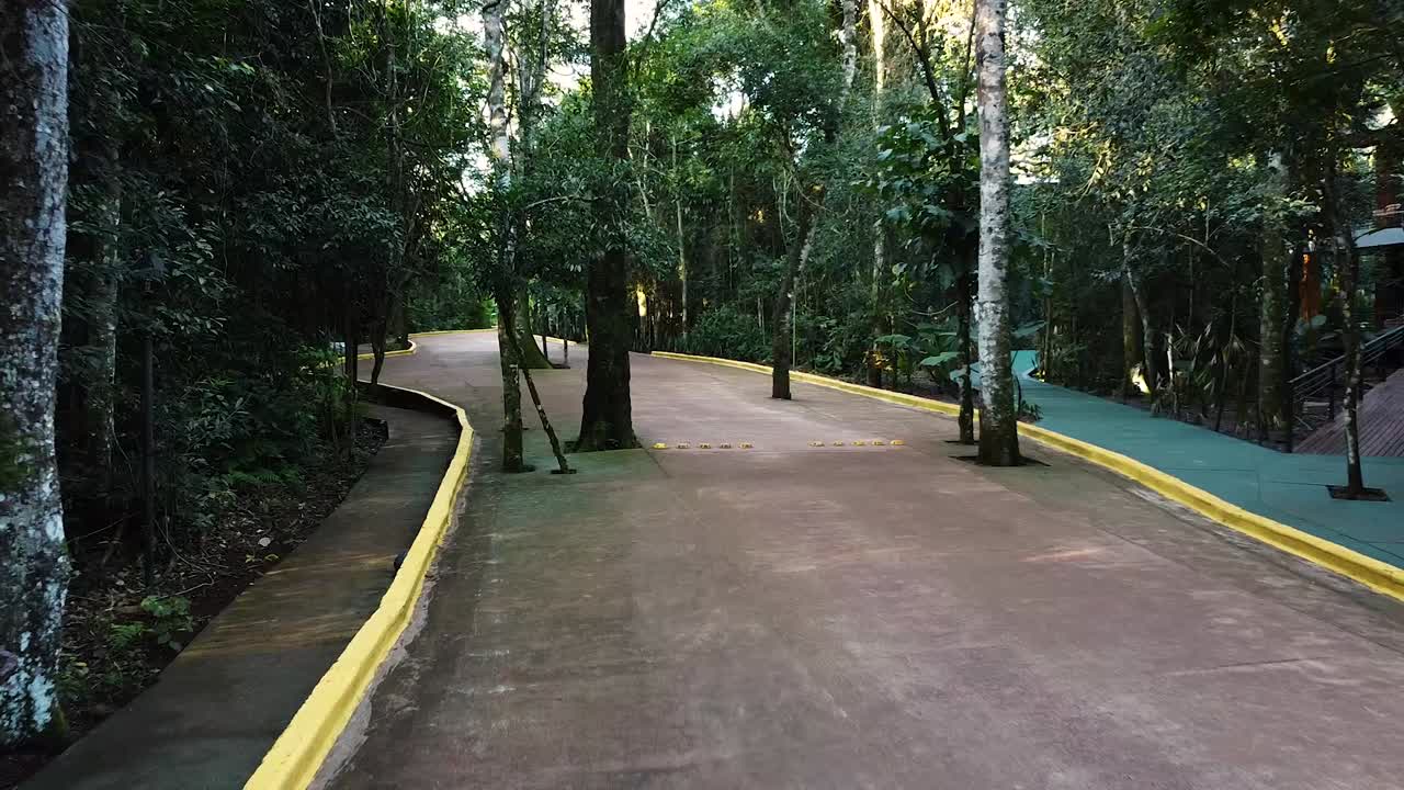Shaded forest trail between a dense jungle with yellow line painted road under the rainforest trees.