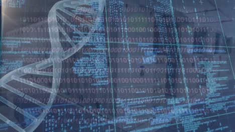 animación de la hilera de adn girando , procesamiento de datos sobre una placa de circuito de computadora brillante