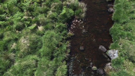 Antena-De-Cierre-De-Ojo-De-Pájaro-De-Un-Río-Rocoso-Mirando-Hacia-Abajo-Rodeado-De-Follaje-De-Páramo-Herboso,-Dartmoor,-Inglaterra