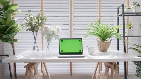 still shot : green screen chroma key for display on laptop computer on desk table at home office decorate with indoor house plants in home office interior workspace.