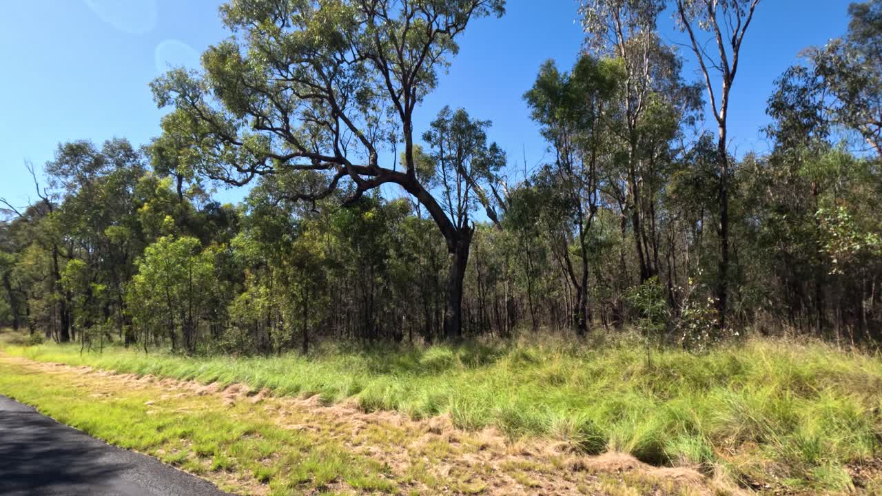 숲을 가로지르는 도로를 따라 진행