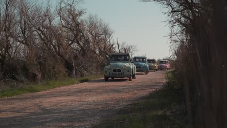 old-fashioned cars are driving along the road between the old trees