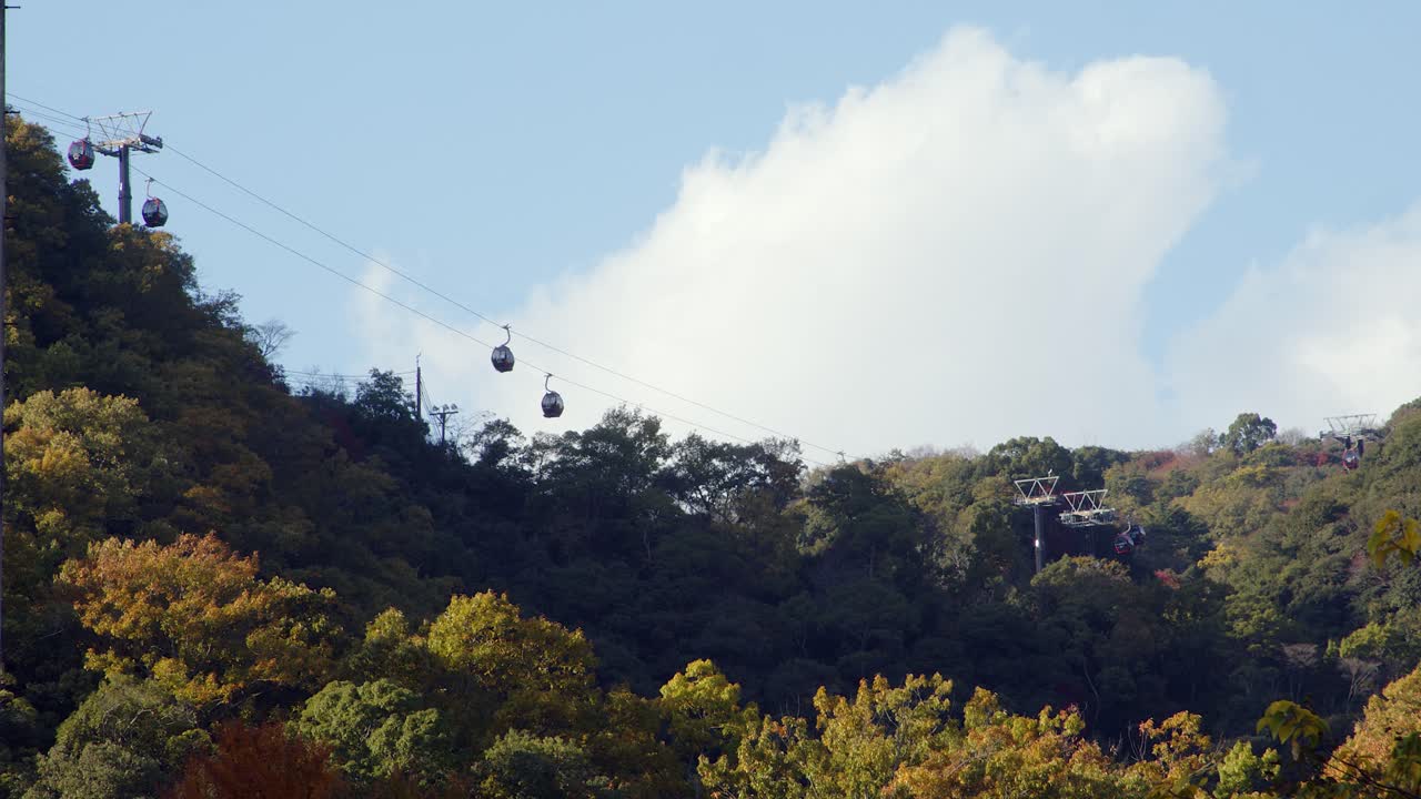 Funivie a fune e cabinovie attraversano il fianco di una montagna boscosa sotto un cielo soleggiato