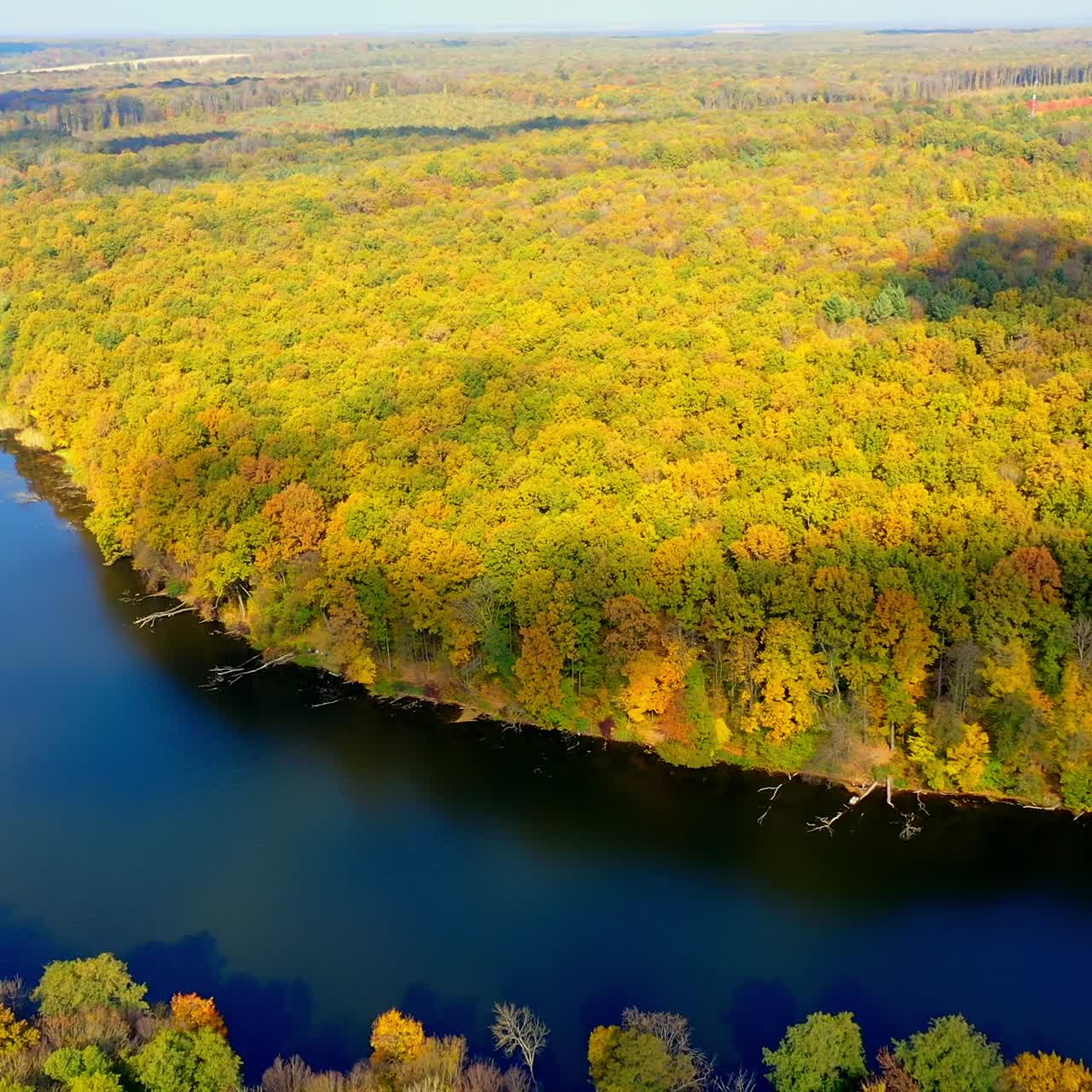 Aerial view of beautiful forest river fields. Autumn seasonal forest landscapes