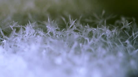 growing snow ice crystals from oversaturated water vapor on dry ice base