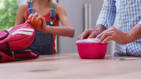 Midsection-of-caucasian-grandfather-in-kitchen-preparing-packed-lunch-with-granddaughter