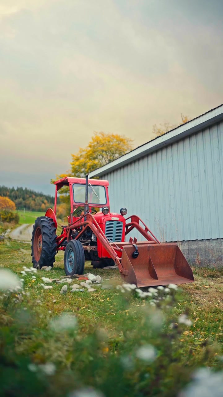 Vista verticale di un trattore rosso Massey Ferguson 35 con benna caricatrice frontale, parcheggiato in un contesto rurale all'aperto. Inquadratura statica.
