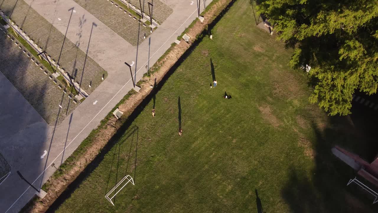 niños jugando al fútbol en un jardín verde