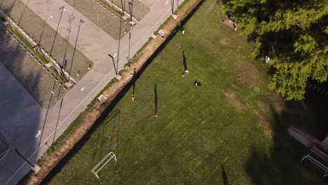 Kinder-Spielen-Fußball-Im-Grünen-Garten