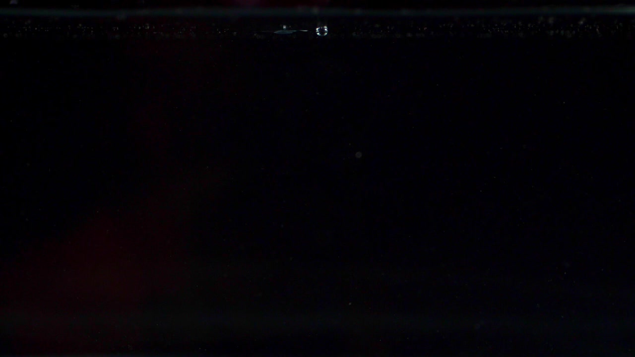 계란이 물에 떨어지는 것