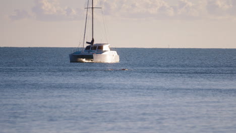 alone swimmer ocean swimming freestyle along shoreline past yacht, 4k